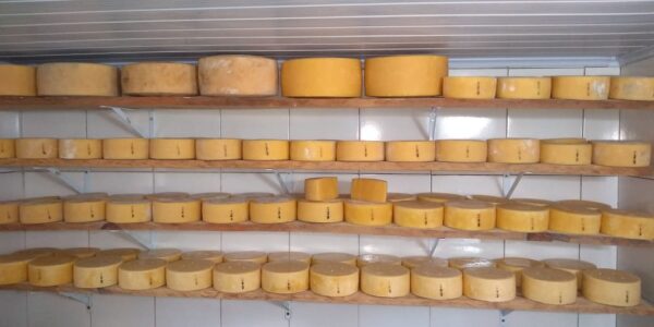 Queijo Artesanal Premium Fazenda Bela Vista 60 dias 1kg (Ouro no Mundial de Queijos da França em 2019 e 2021) - Image 2